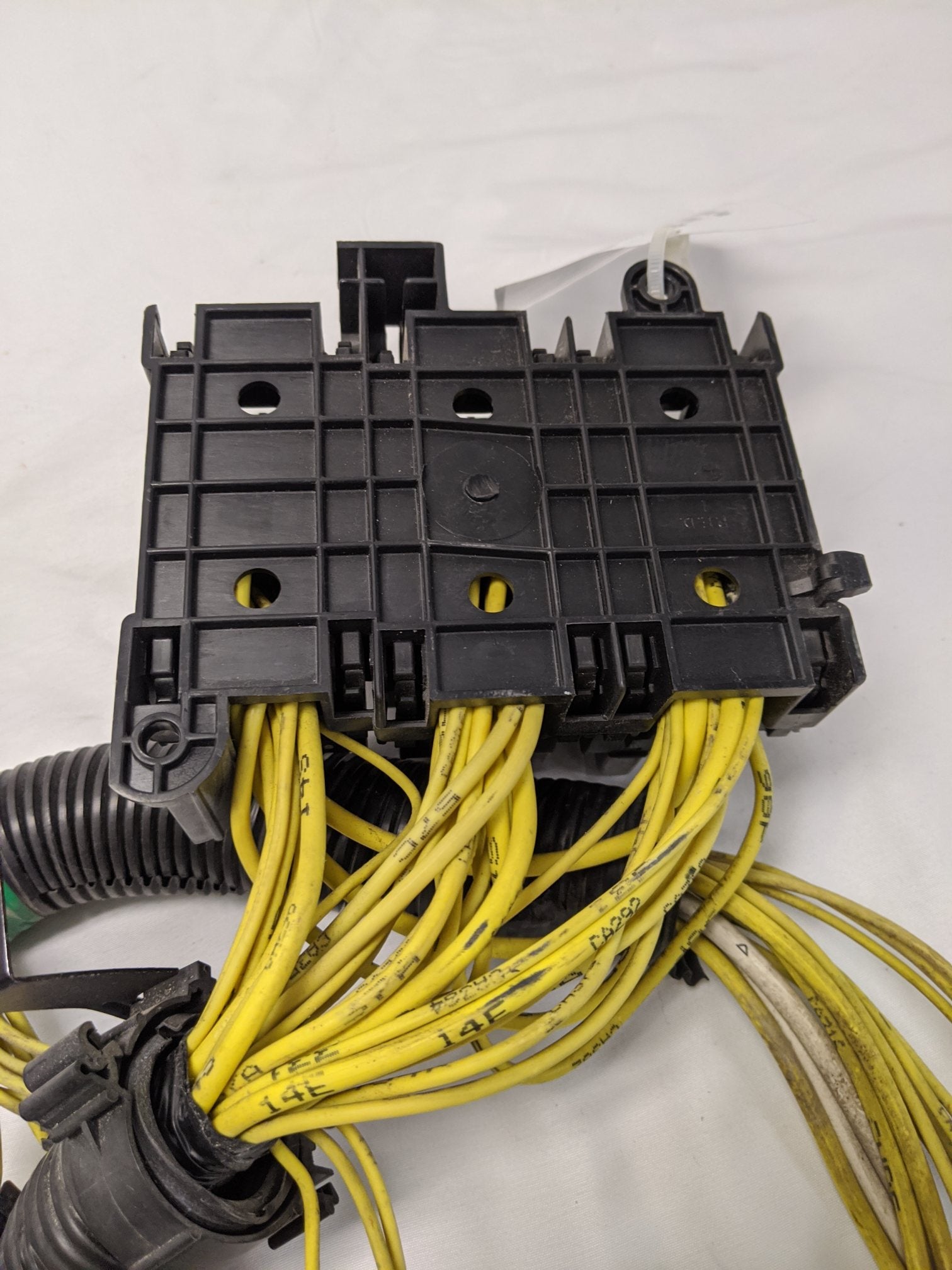 Freightliner Fuse Circuit Protection Wiring Harness (A06-24054-003) - Damaged