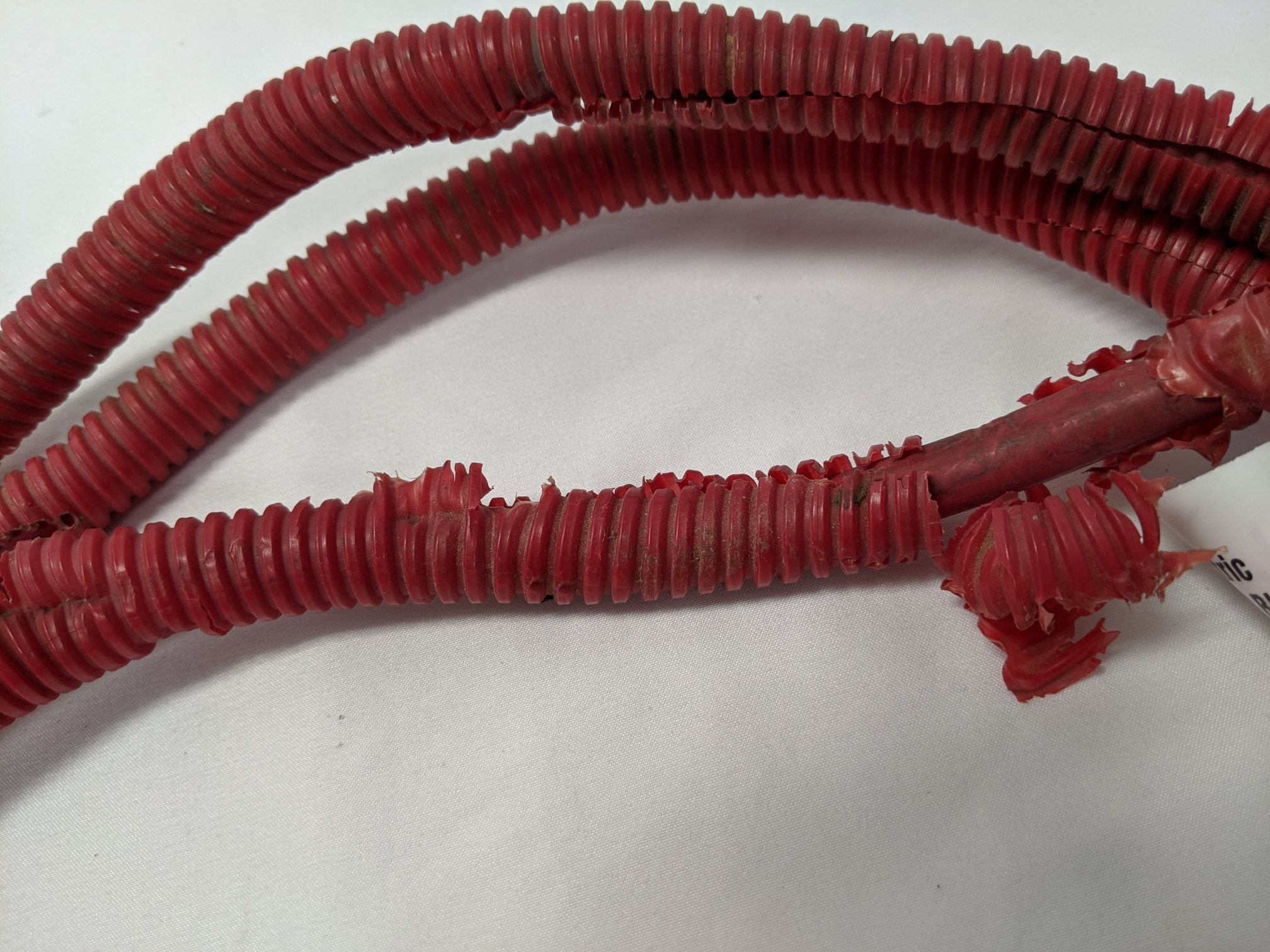 Used Julian Electric Alternator To Junction Block Cable - P/N A06-62081-116