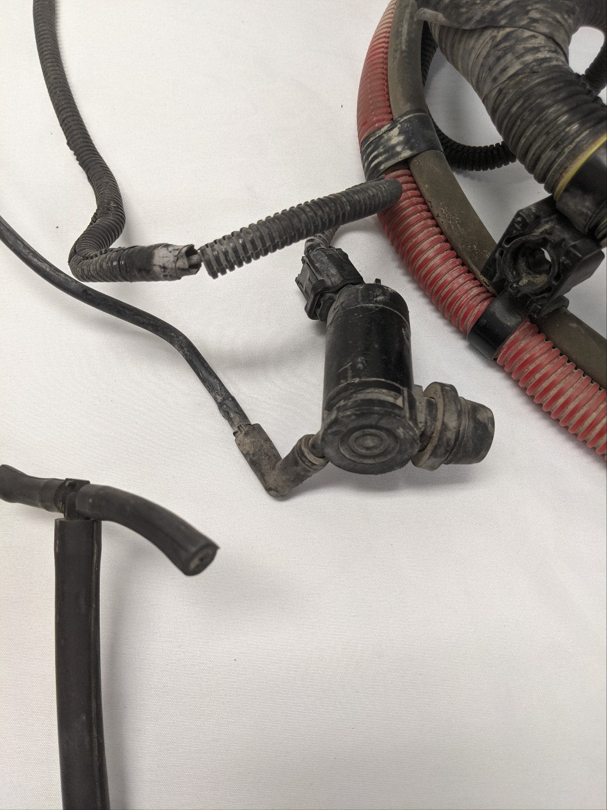 Freightliner DD13 Front Firewall Wiring Harness (A06-76148-000) - Used