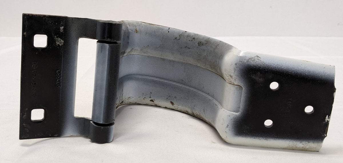 Freightliner Sleeper Baggage Door Access Hinge 18-67415-000
