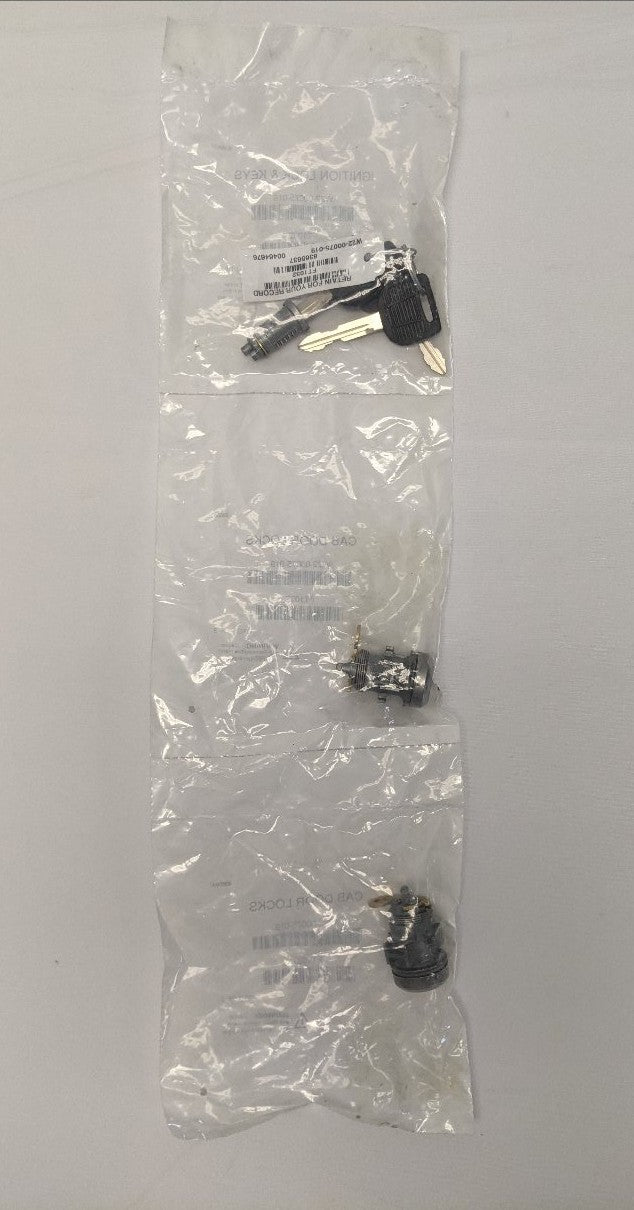 Freightliner M2 P3 3-Key Door & Ignition Lock Set | W22-00075-019