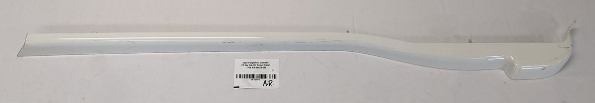 Freightliner Cascadia P3 Day Cab RH Rocker Panel A18-60674-003 Used