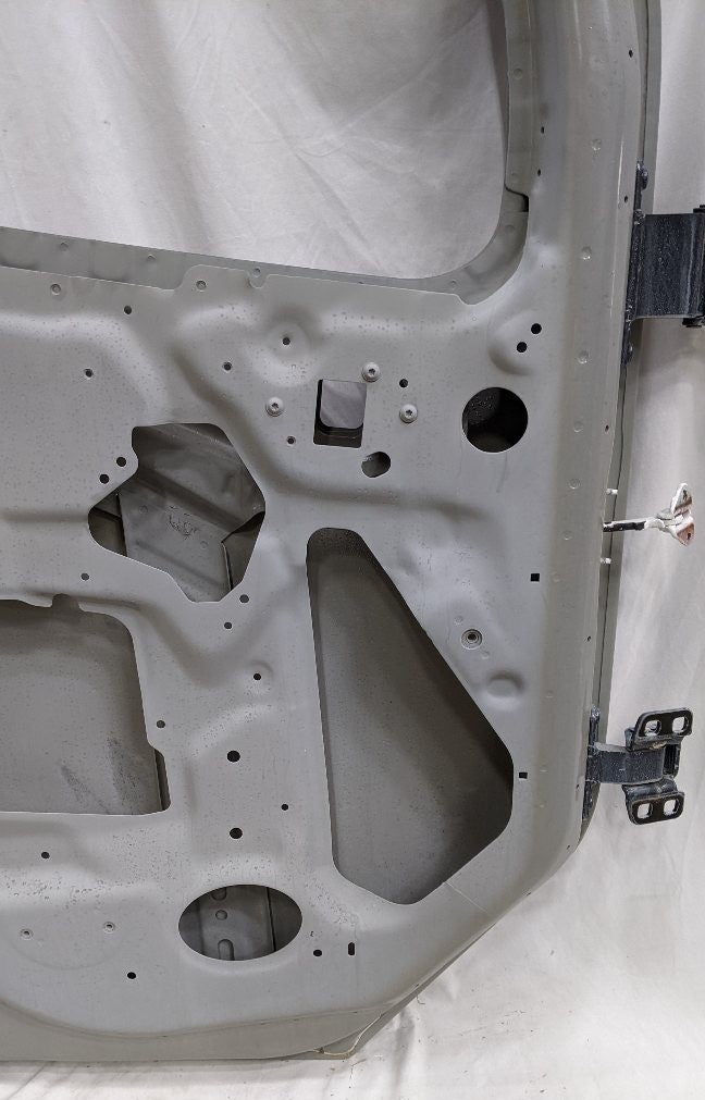 Freightliner M2 Plus LH Door Bad Finish | SK-16961-D
