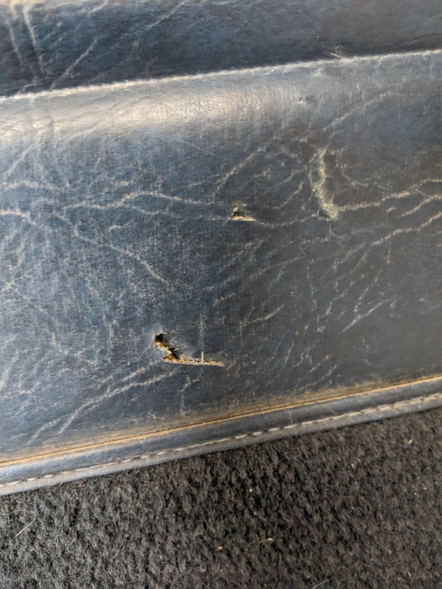 Used Freightliner FLD Classic RH Door Assembly - P/N A18-28016-009