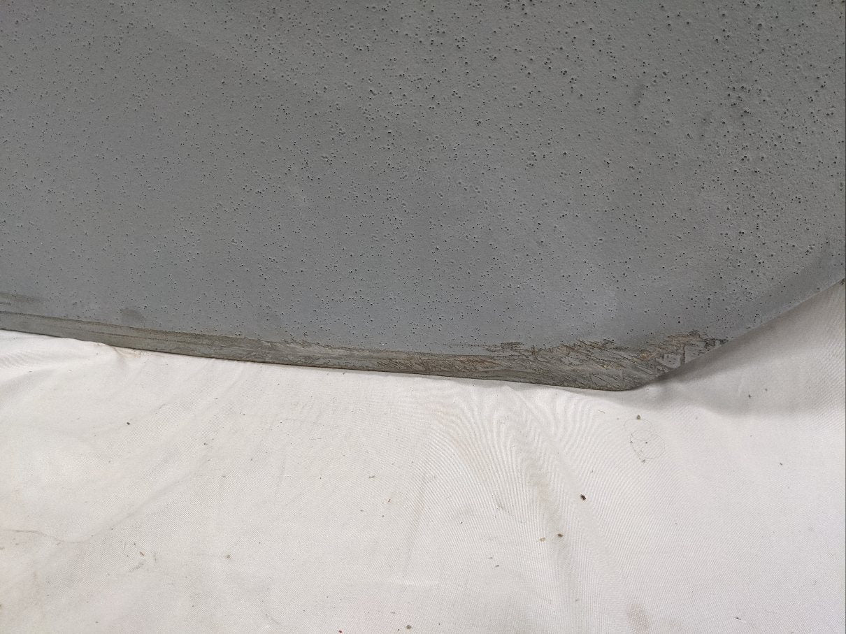 Damaged Freightliner M2 Plus RH (Passenger's Side) Door (Bad Finish/Dented)