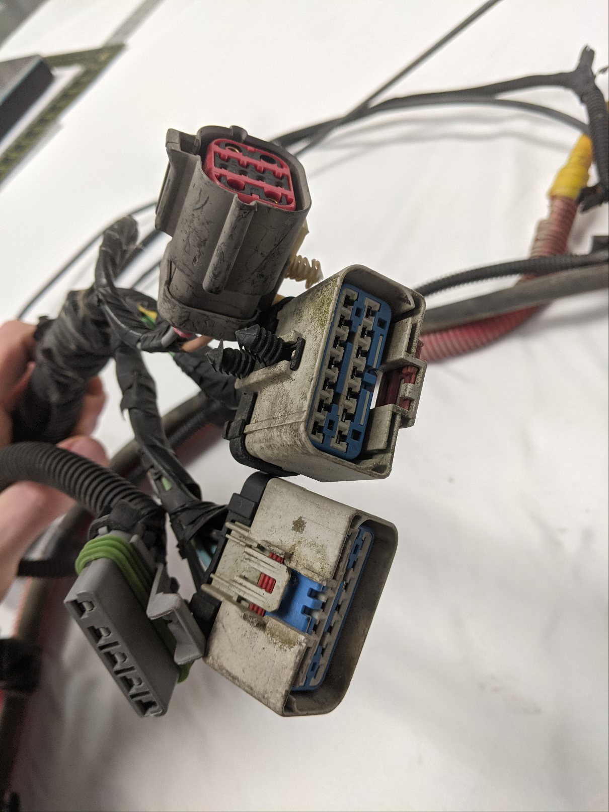 Freightliner DD13 Front Firewall Wiring Harness (A06-76148-000) - Used
