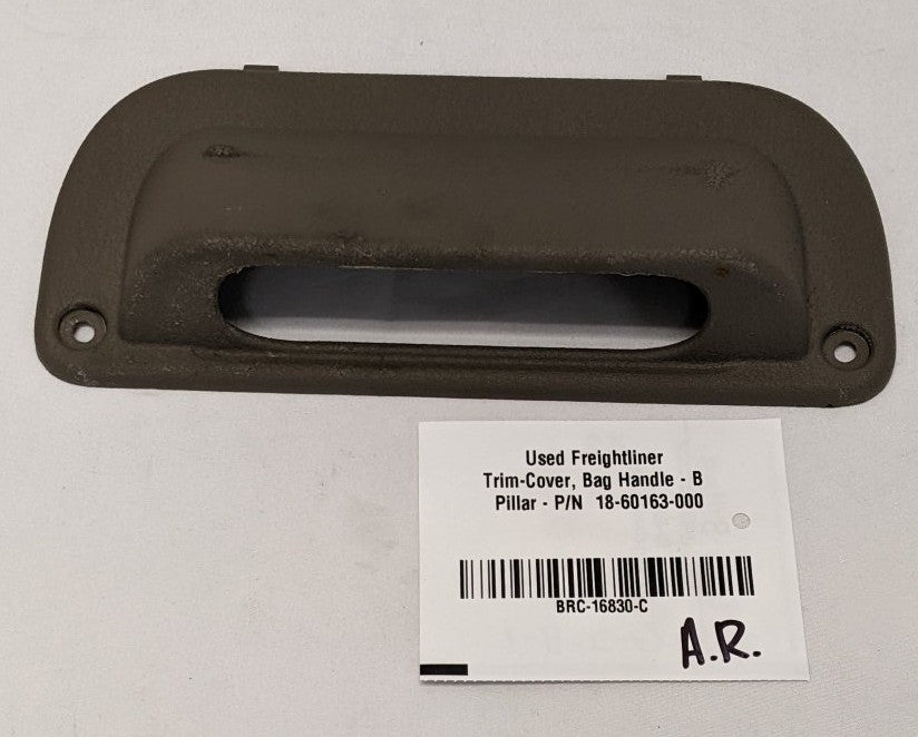 Used Freightliner Trim-Cover, Bag Handle - B Pillar - P/N  18-60163-000