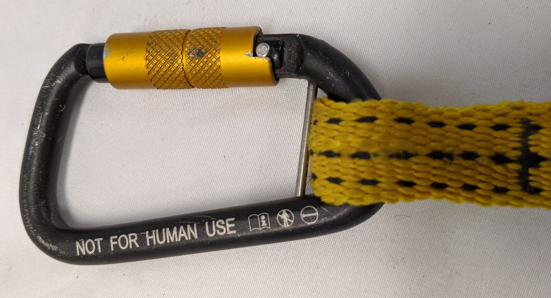 Python Safety Hook2Loop Bungee Tether Set of 2 - 10 lbs Capacity EXT-H2LBUNGEE