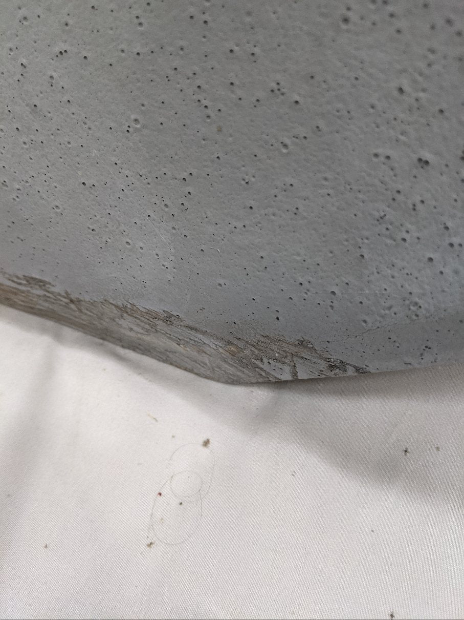 Damaged Freightliner M2 Plus RH (Passenger's Side) Door (Bad Finish/Dented)