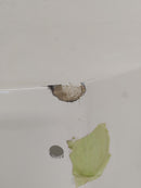 Damaged Western Star RH Stratosphere Transition Panel - P/N  A18-67629-001 (6792893497430)