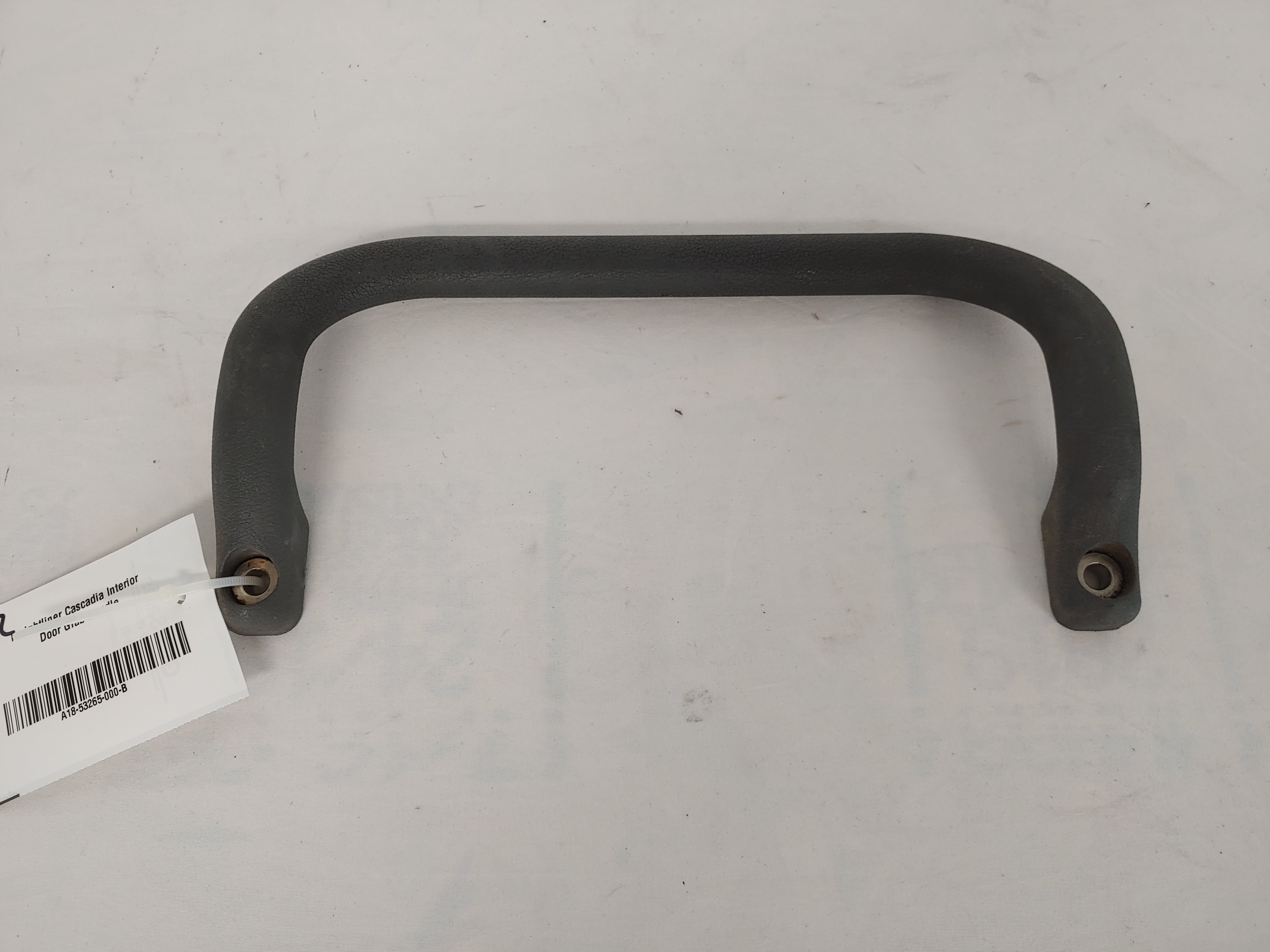 Freightliner Cascadia Interior Grab Handle - P/N  A18-53265-000 (6801734271062)